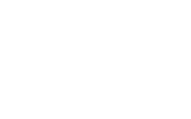 icon of United States